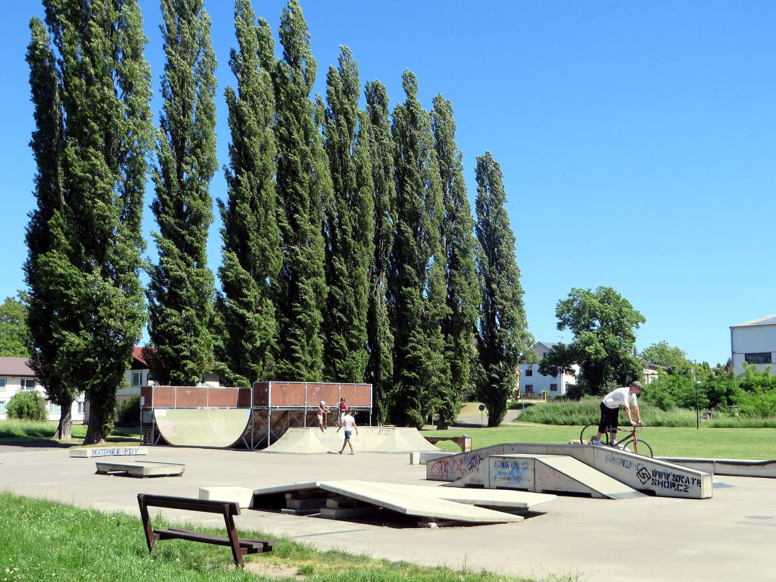 Skatepark in Poděbrady – photo 3