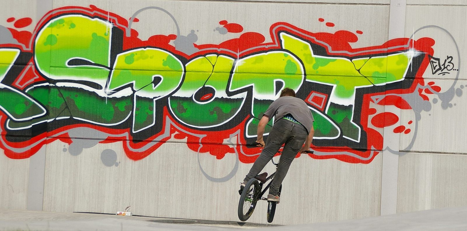 Skatepark Wilhelmsburg